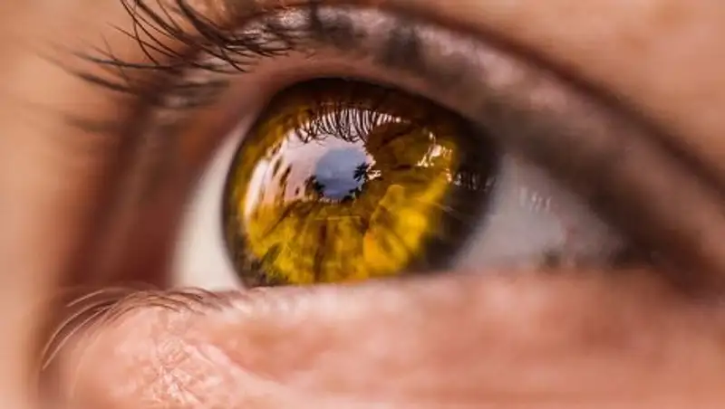 Глаза расскажут о состоянии головного мозга