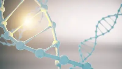 Zakon.kz, фото - Новости Zakon.kz от 03.03.2017 14:09