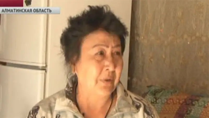 Уже третий год пенсионерка вынуждена жить в самодельном шалаше