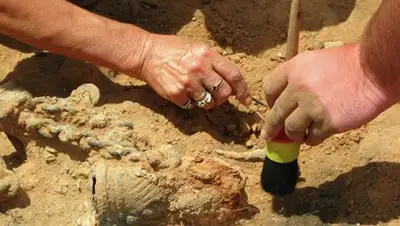 Zakon.kz, фото - Новости Zakon.kz от 09.02.2017 23:44