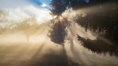 pixabay.com, фото - Новости Zakon.kz от 20.10.2021 00:22