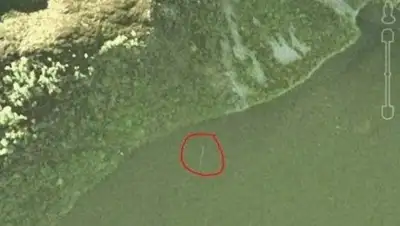 Zakon.kz, фото - Новости Zakon.kz от 15.01.2015 15:52