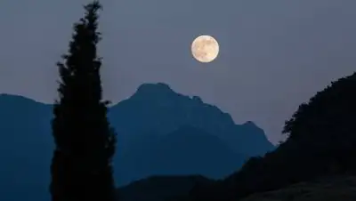 pxhere.com, фото - Новости Zakon.kz от 21.08.2021 13:34