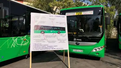 Даму, фото - Новости Zakon.kz от 24.01.2020 13:07