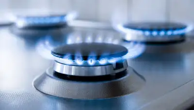 realseolinks.com, фото - Новости Zakon.kz от 06.03.2019 22:33