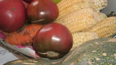 Zakon.kz, фото - Новости Zakon.kz от 24.11.2014 16:30