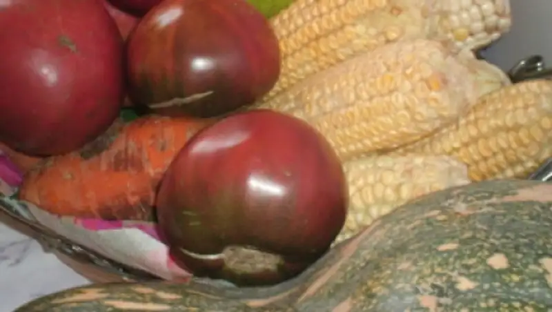 Автокараваны доставят сельхозпродукцию аграриев Кыргызстана в Жамбылскую область