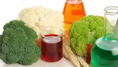 bigpicture.ru, фото - Новости Zakon.kz от 03.03.2019 14:28