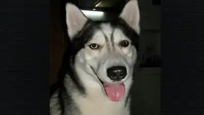 МИА «Казинформ», фото - Новости Zakon.kz от 15.01.2018 00:07