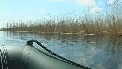 Zakon.kz, фото - Новости Zakon.kz от 04.06.2014 23:16