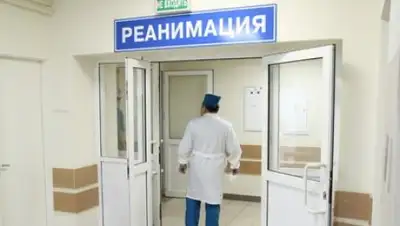 Zakon.kz, фото - Новости Zakon.kz от 10.01.2017 04:17