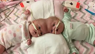 Zakon.kz, фото - Новости Zakon.kz от 26.10.2017 09:35