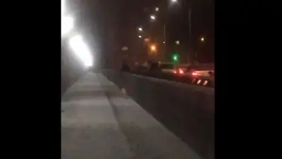 Zakon.kz, фото - Новости Zakon.kz от 03.03.2017 21:40