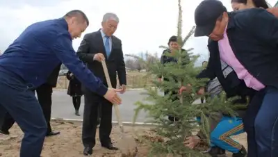 Zakon.kz, фото - Новости Zakon.kz от 03.04.2017 22:39