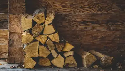 сколько стоят дрова в регионах Казахстана, фото - Новости Zakon.kz от 09.11.2022 16:10