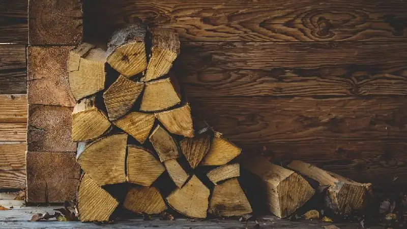 Сколько стоят дрова в регионах Казахстана
