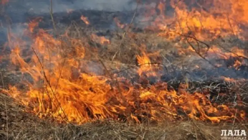 За один день пожарные ликвидировали пять возгораний сухостоя в Актау