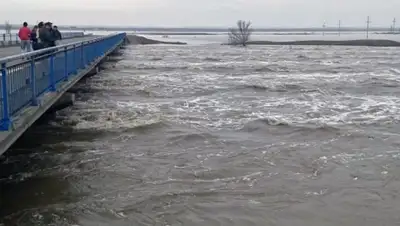 Zakon.kz, фото - Новости Zakon.kz от 04.04.2016 15:46