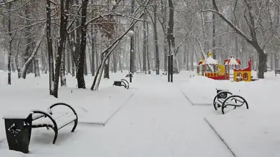 Синоптики предоставили прогноз погоды в Казахстане на 19 января 
