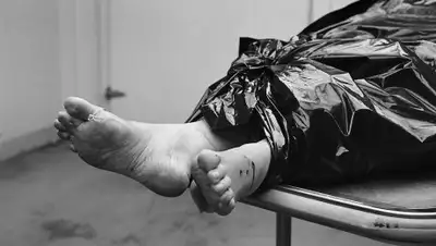 Zakon.kz, фото - Новости Zakon.kz от 17.10.2017 21:15