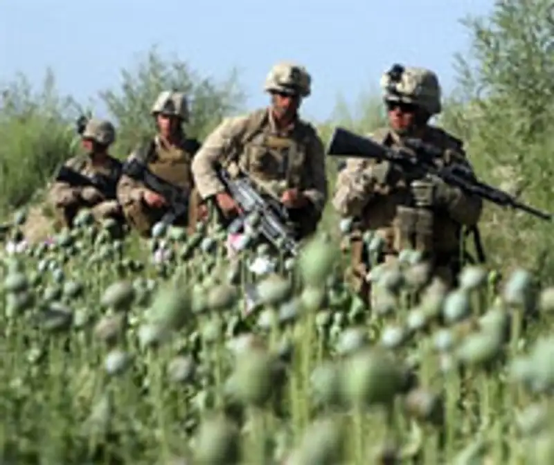 Государства ОДКБ являются основной мишенью наркотрафика из Афганистана, фото - Новости Zakon.kz от 11.04.2012 17:11