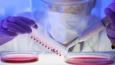 Zakon.kz, фото - Новости Zakon.kz от 01.06.2015 13:36