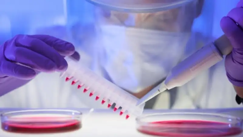 Число заразившихся опасным вирусом в Южной Корее достигло 18 человек