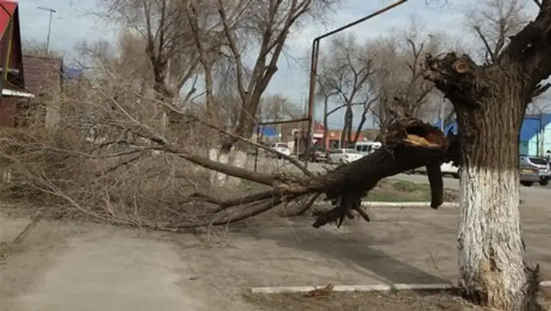 Второй пострадавший от ветра в ЗКО доставлен в больницу
