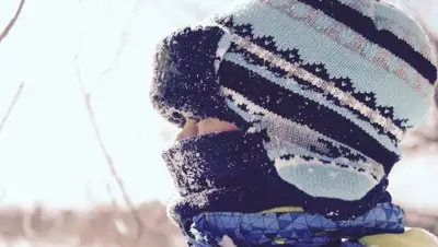 pixabay, фото - Новости Zakon.kz от 05.02.2019 06:39