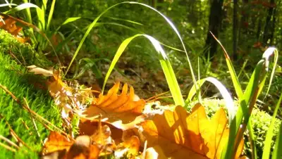 Zakon.kz, фото - Новости Zakon.kz от 27.08.2016 18:43