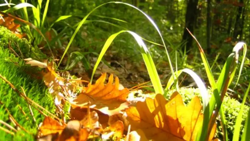 В Казахстане лето начинает сдавать свои позиции