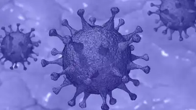 pixabay.com, фото - Новости Zakon.kz от 22.07.2020 17:15