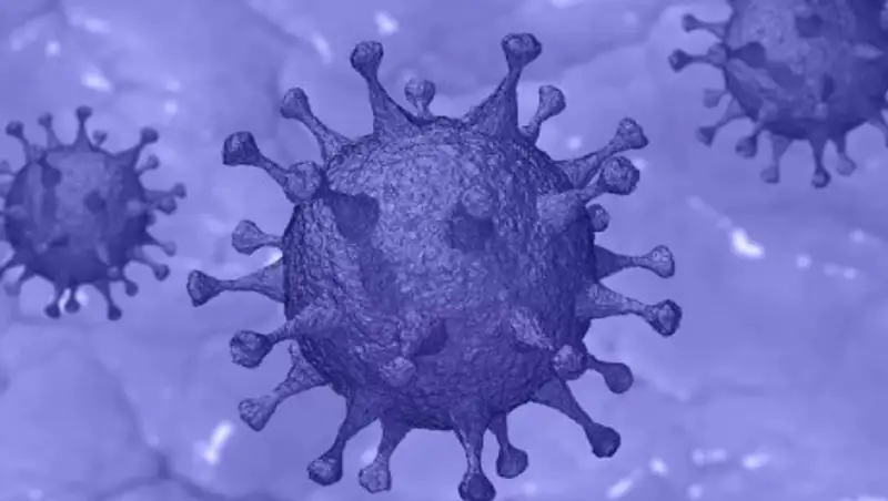 В Алматы хотят проверять людей на коллективный иммунитет