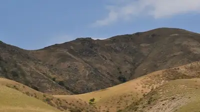 природа, фото - Новости Zakon.kz от 04.04.2023 09:57