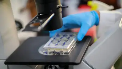 RT, фото - Новости Zakon.kz от 23.07.2020 07:05