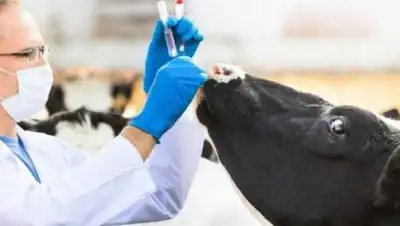 24.kz, фото - Новости Zakon.kz от 05.01.2021 19:21