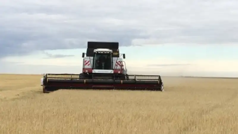 Аграрии Казахстана ожидают обильного урожая