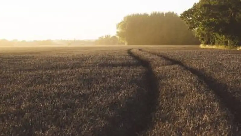 Что нужно знать о земельной реформе