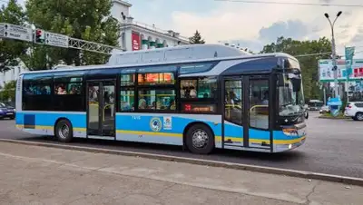 alatransit.kz, фото - Новости Zakon.kz от 14.08.2018 17:04