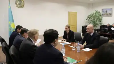Казахстан и Совет Европы обсудили сотрудничество по вопросам защиты прав человека, фото - Новости Zakon.kz от 31.01.2023 13:16