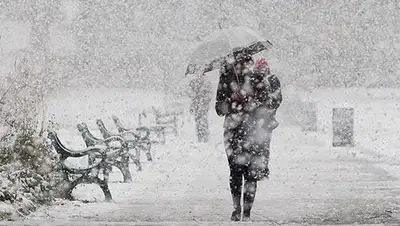 Zakon.kz, фото - Новости Zakon.kz от 24.01.2014 15:26