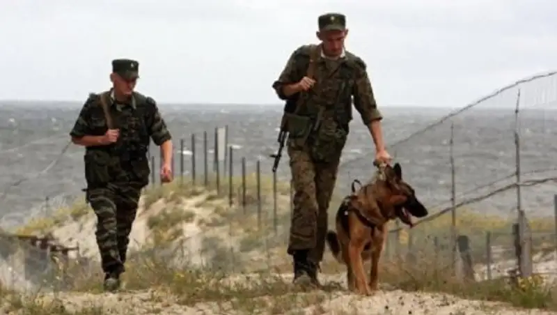 На казахстанско-российской границе пресечена попытка вывоза 20 т углеродного хрома   