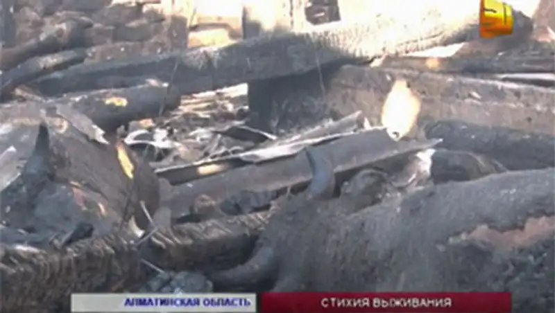 В Алматинской области в селе Алдабергенова сгорела ферма, фото - Новости Zakon.kz от 19.11.2013 16:10