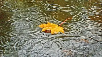 Zakon.kz, фото - Новости Zakon.kz от 02.09.2015 12:09