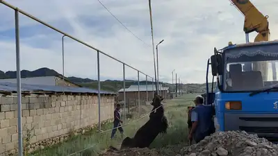 помощь спасателей, фото - Новости Zakon.kz от 23.06.2023 18:26