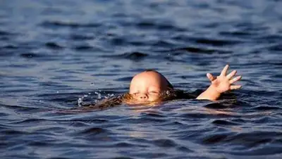 livekuban.ru, фото - Новости Zakon.kz от 22.04.2018 13:54