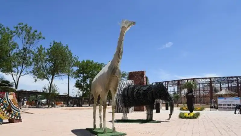 Подарки Астане: В Шымкентском зоопарке открылась зона «Африка», столице презентовали 20 животных