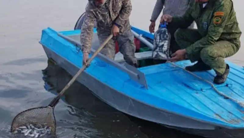 В Шардаринском водохранилище проверят рыбу из-за лишая