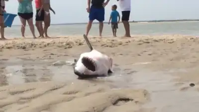 Zakon.kz, фото - Новости Zakon.kz от 15.07.2015 16:09