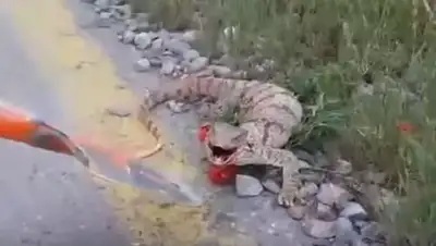 Zakon.kz, фото - Новости Zakon.kz от 09.06.2016 07:07